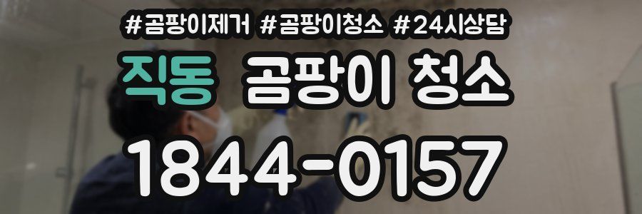 직동 곰팡이 청소