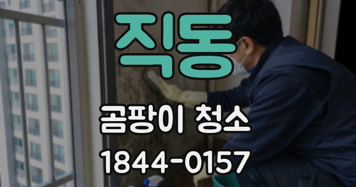 직동 곰팡이 청소