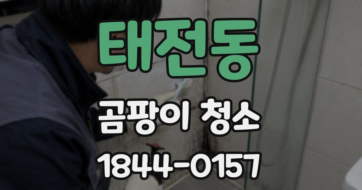 태전동 곰팡이 청소