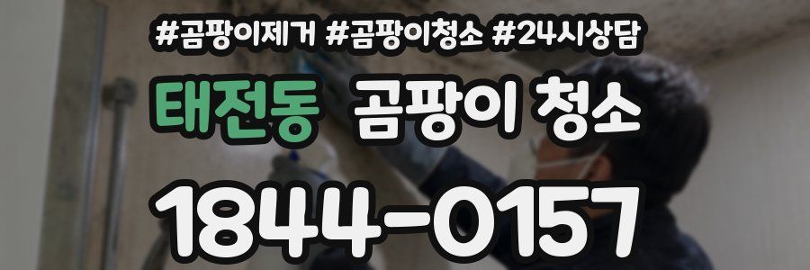 태전동 곰팡이 청소