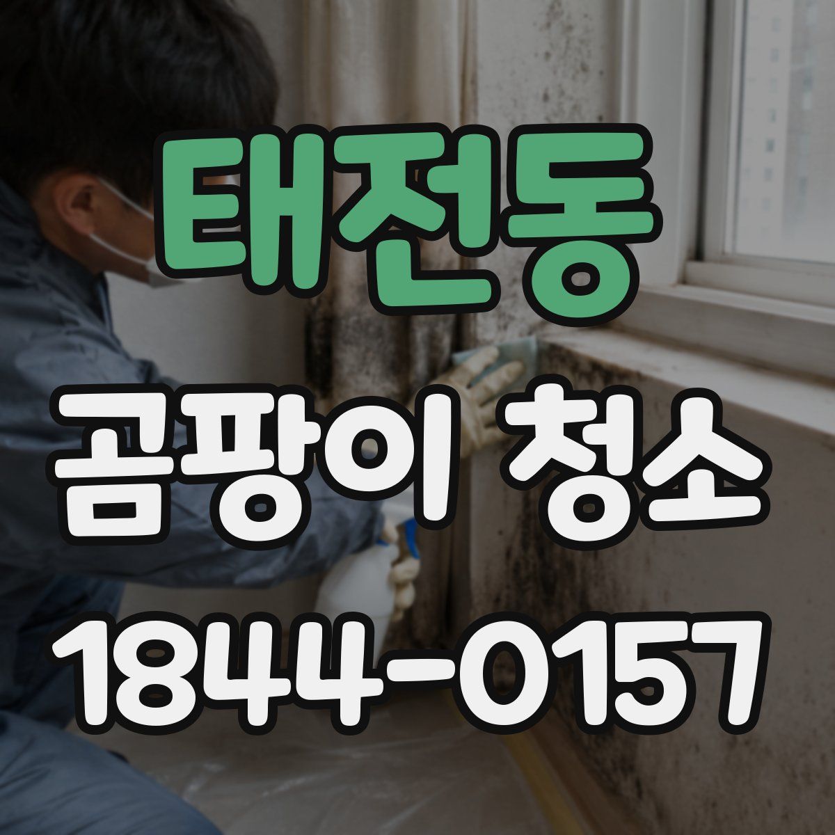 태전동 곰팡이 청소