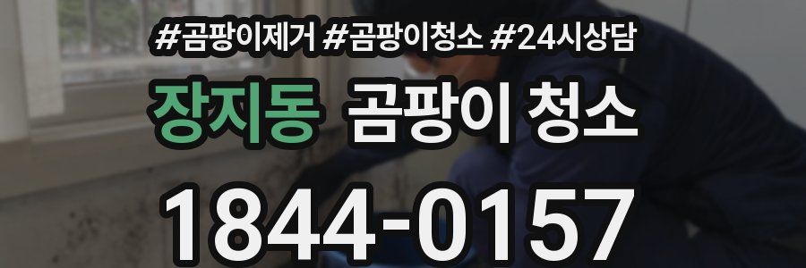 장지동 곰팡이 청소