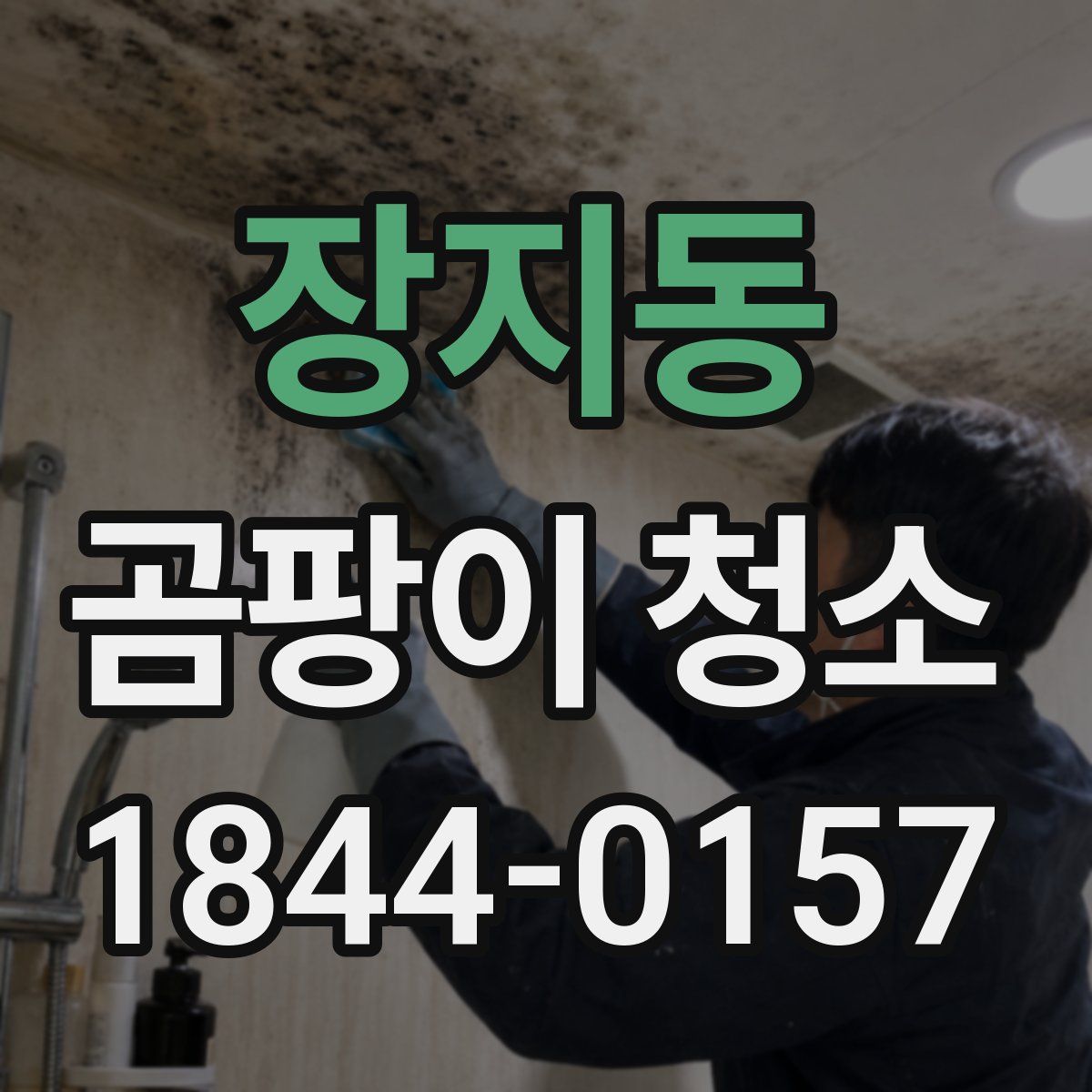 장지동 곰팡이 청소