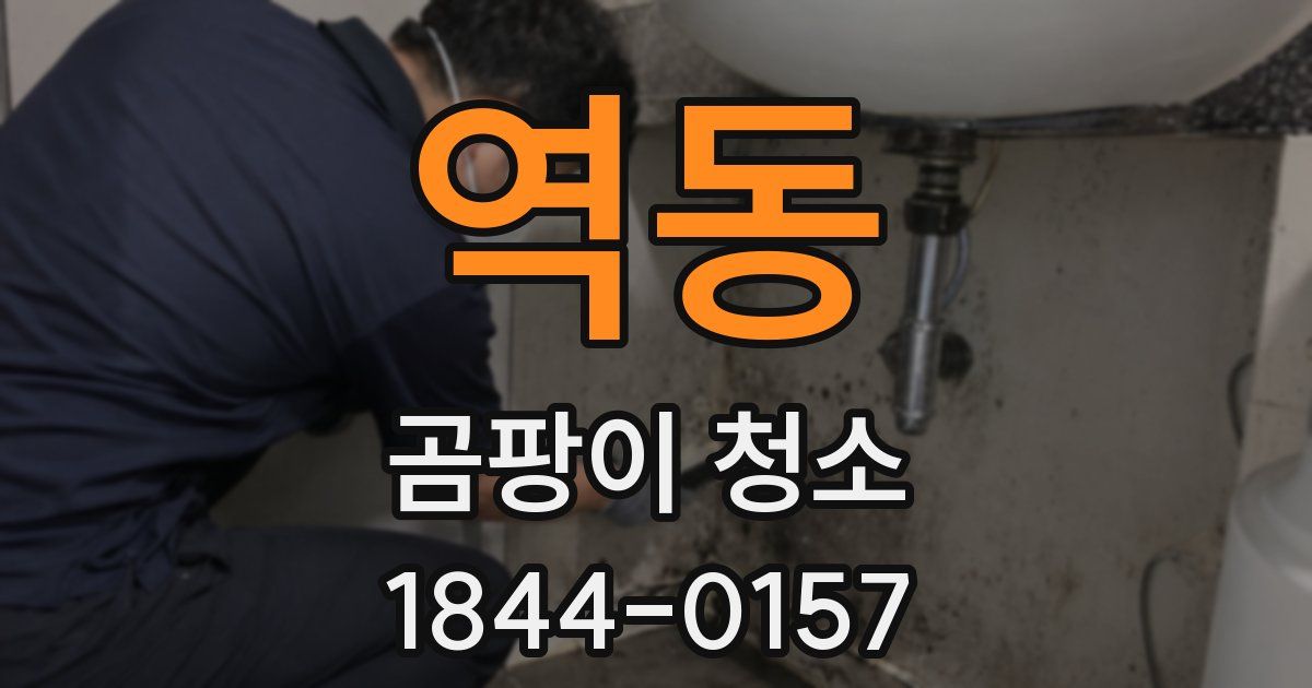 역동 곰팡이 청소