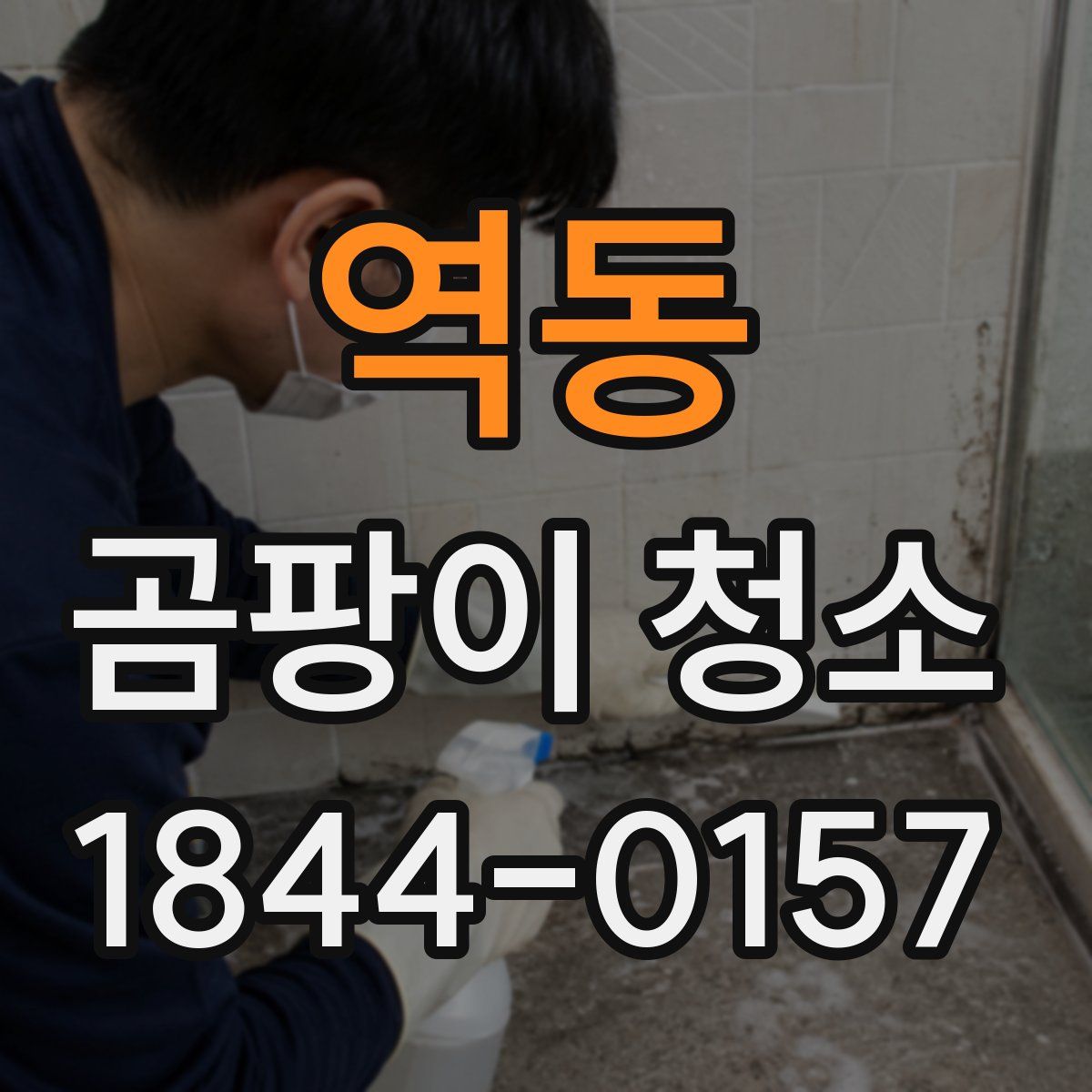 역동 곰팡이 청소