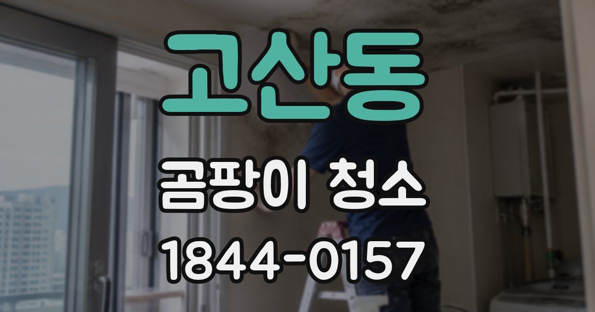 고산동 곰팡이 청소