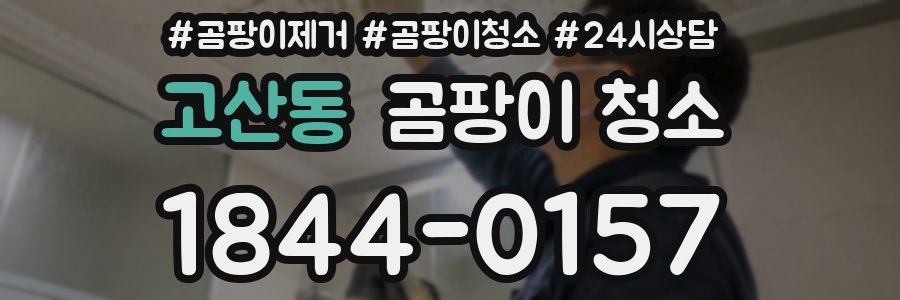 고산동 곰팡이 청소