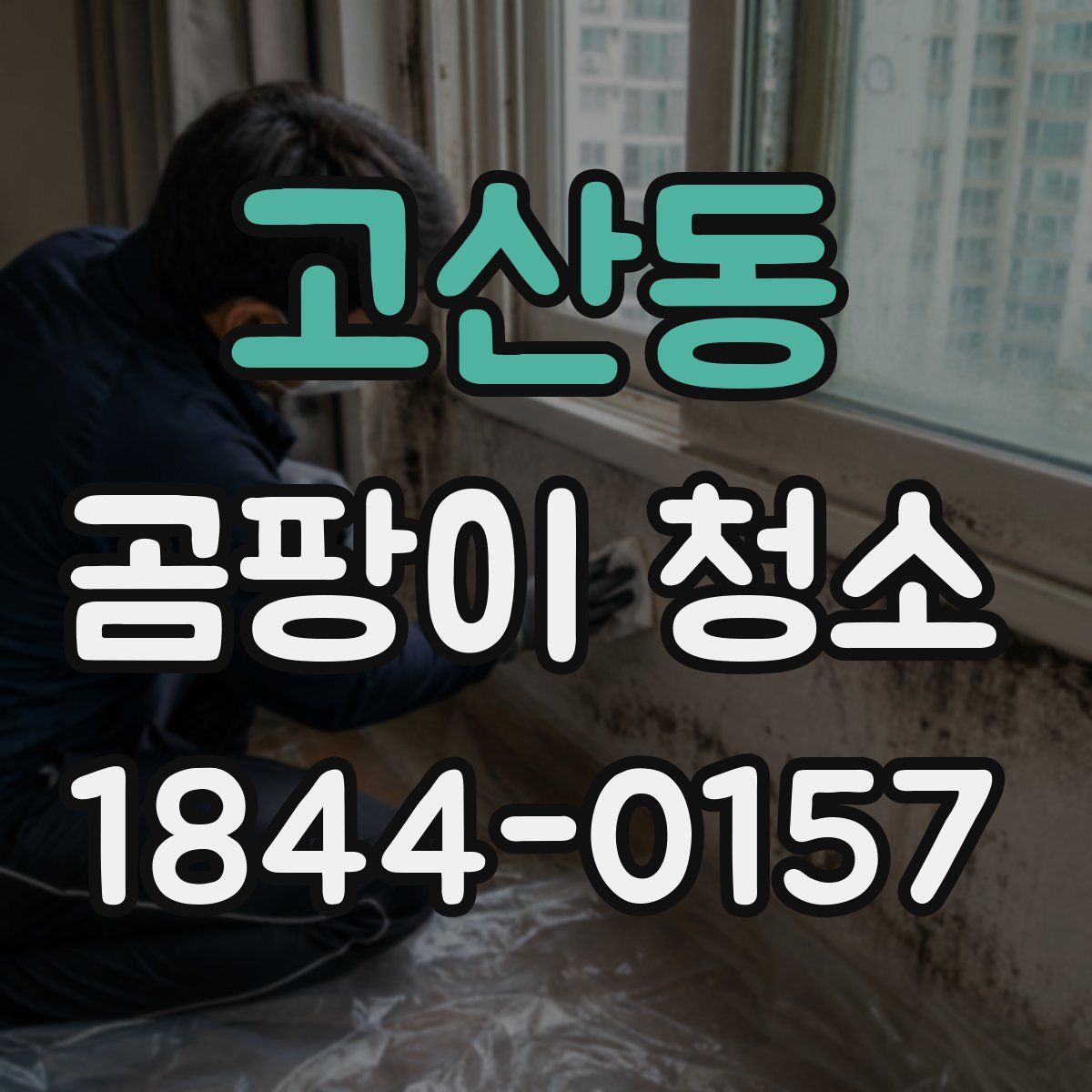 고산동 곰팡이 청소