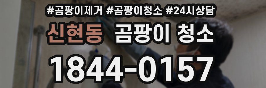 신현동 곰팡이 청소