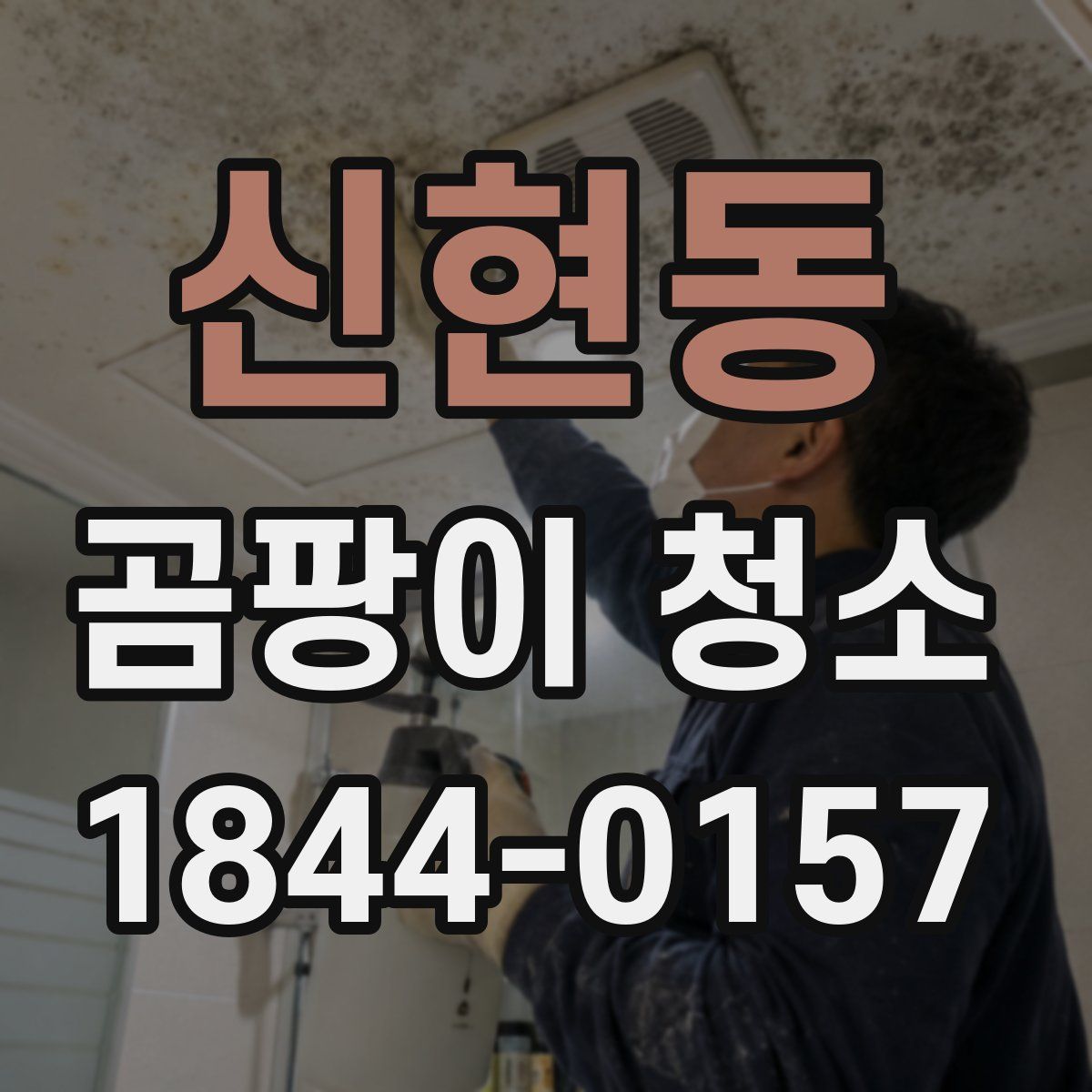 신현동 곰팡이 청소