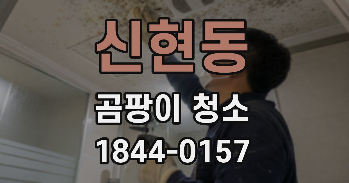 신현동 곰팡이 청소
