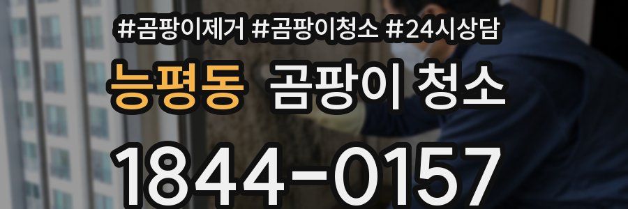 능평동 곰팡이 청소