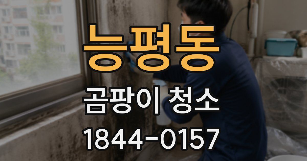 능평동 곰팡이 청소