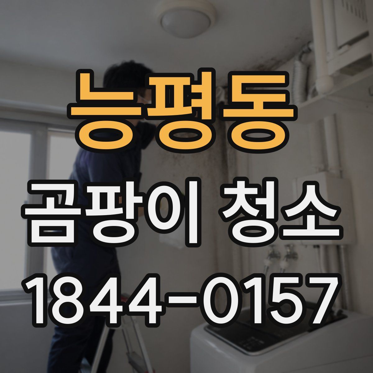 능평동 곰팡이 청소