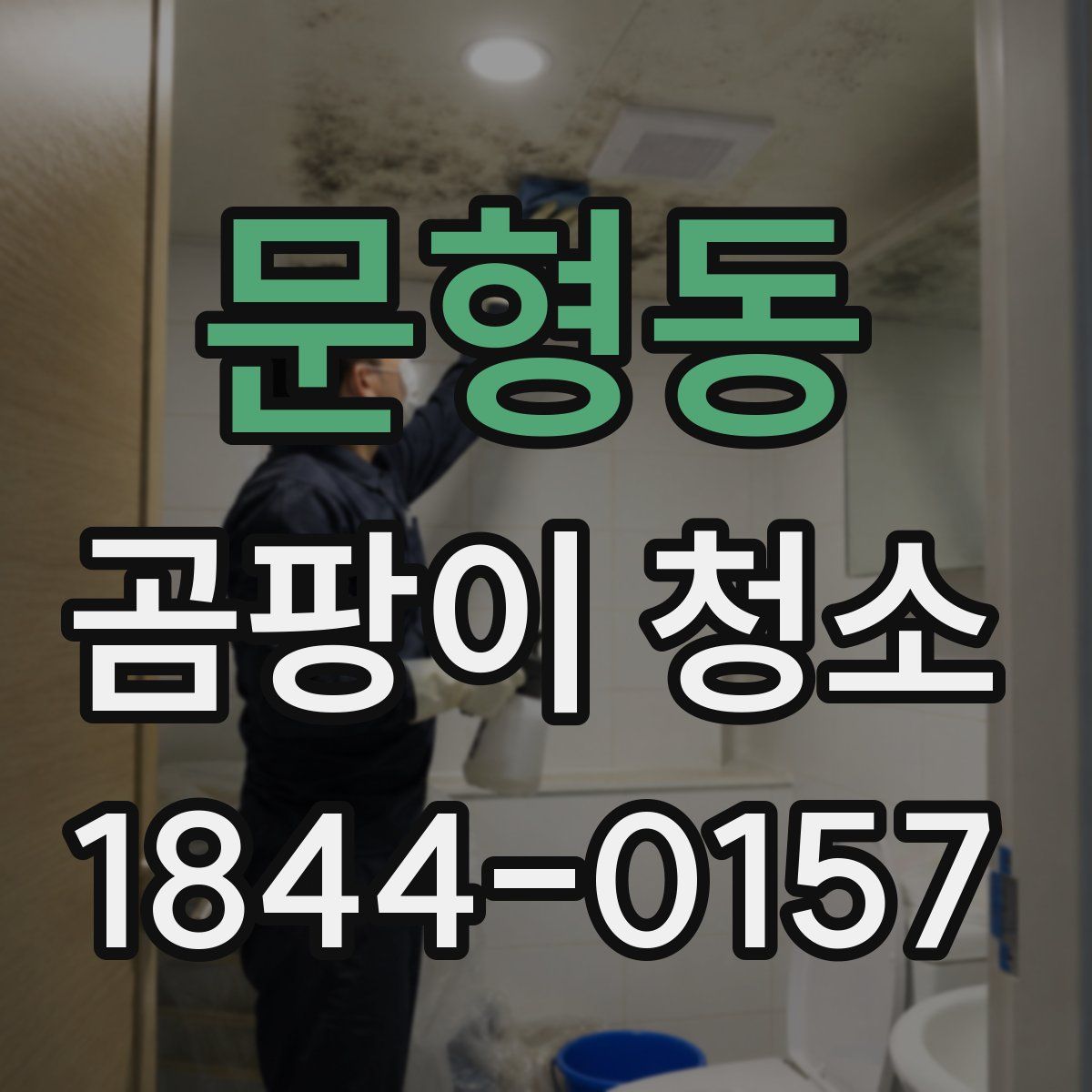 문형동 곰팡이 청소