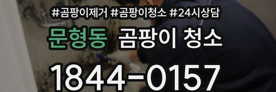 문형동 곰팡이 청소