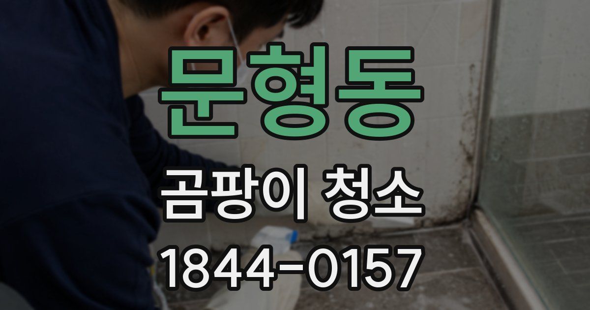 문형동 곰팡이 청소