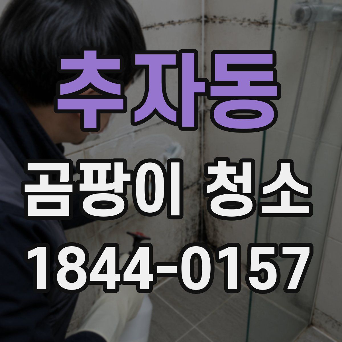 추자동 곰팡이 청소