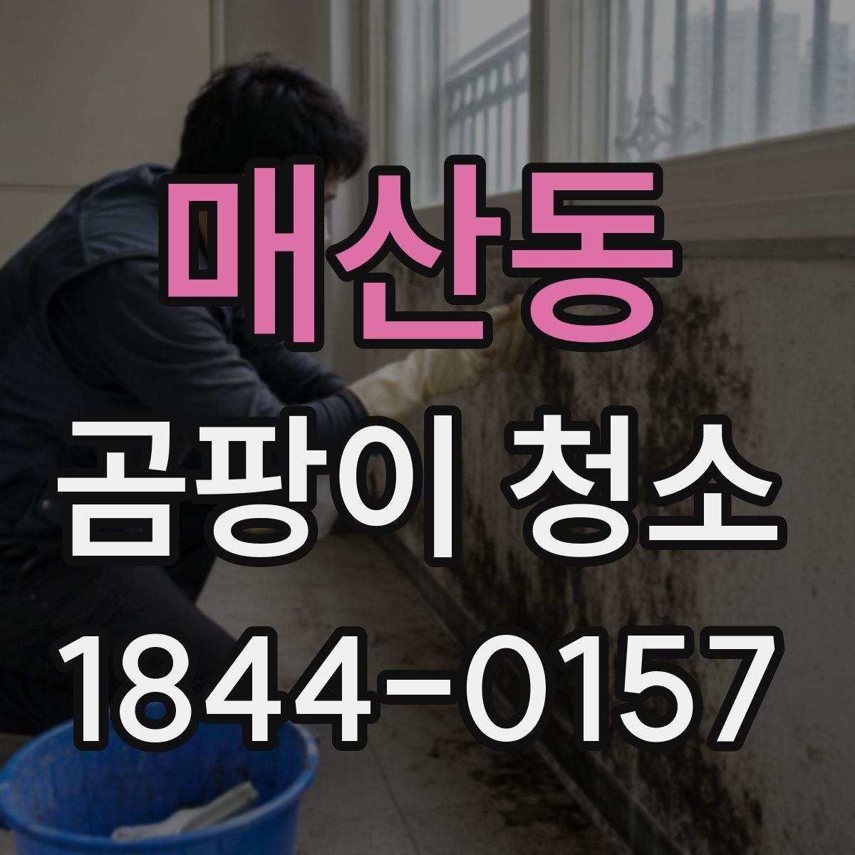 매산동 곰팡이 청소