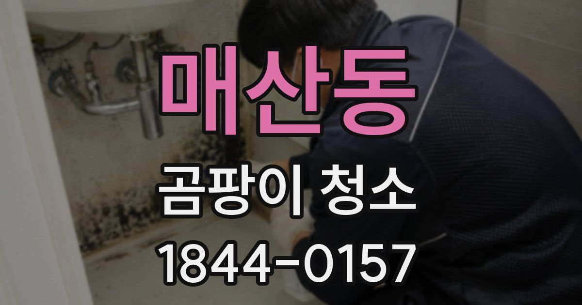 매산동 곰팡이 청소