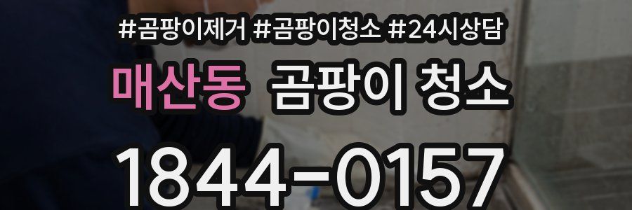 매산동 곰팡이 청소