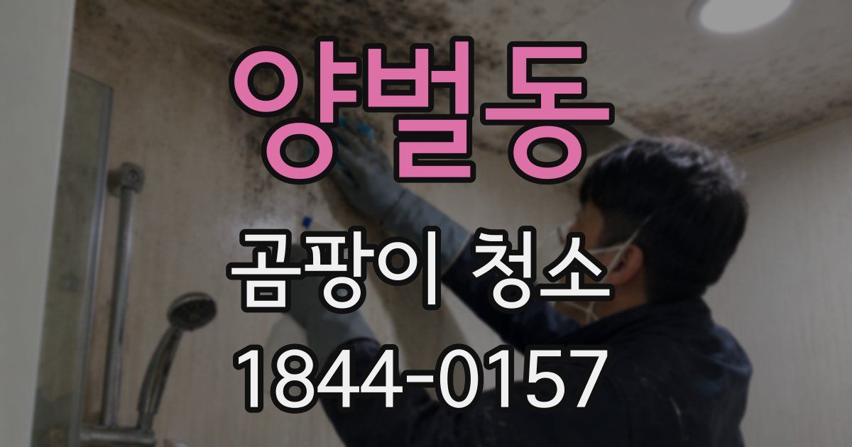 양벌동 곰팡이 청소