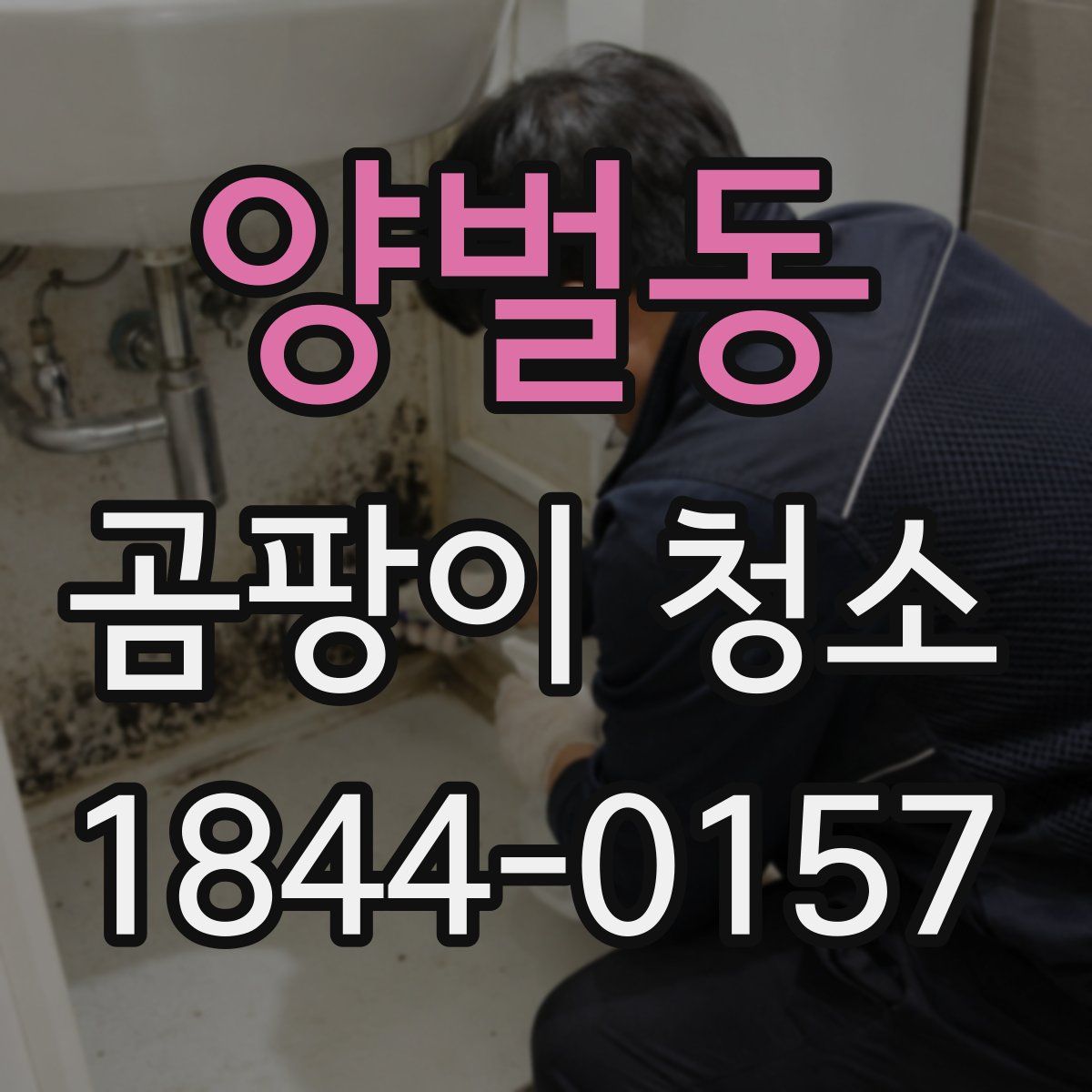 양벌동 곰팡이 청소
