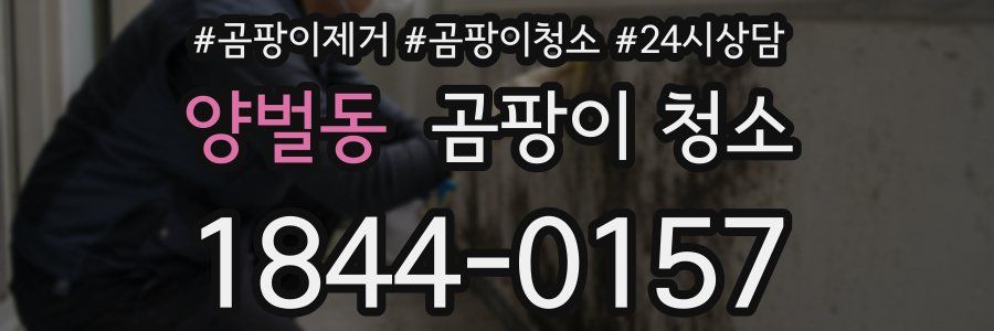 양벌동 곰팡이 청소