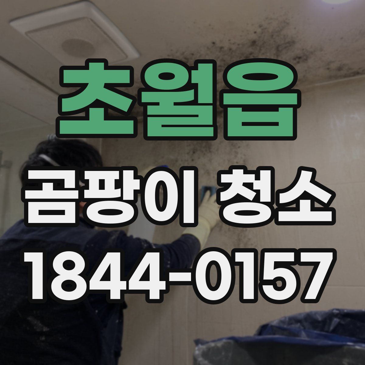 초월읍 곰팡이 청소