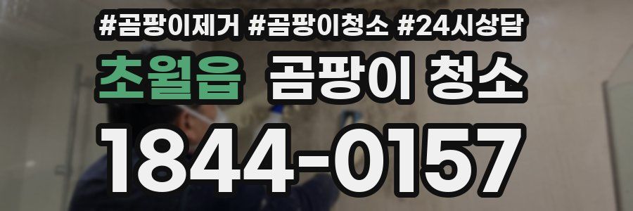초월읍 곰팡이 청소