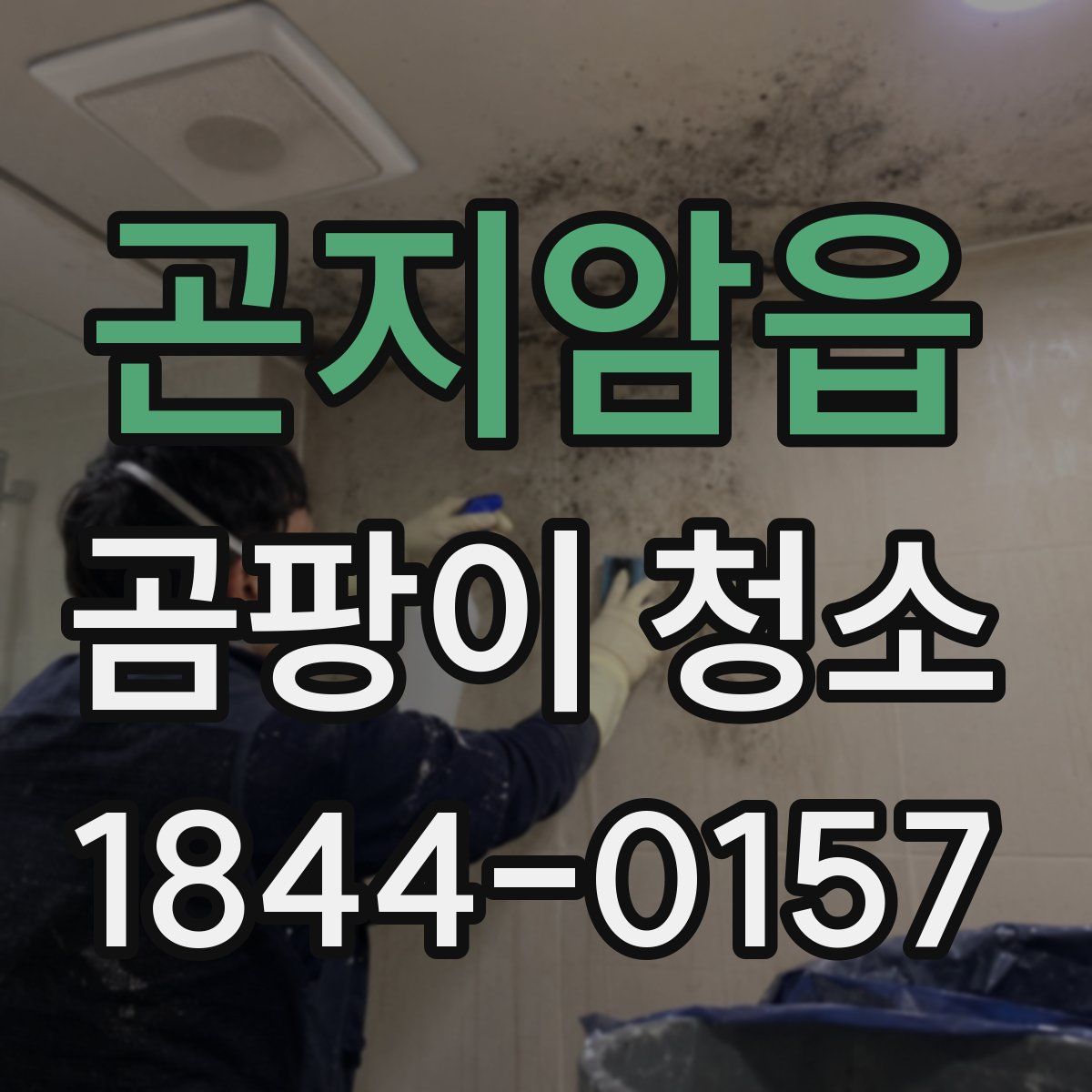 곤지암읍 곰팡이 청소