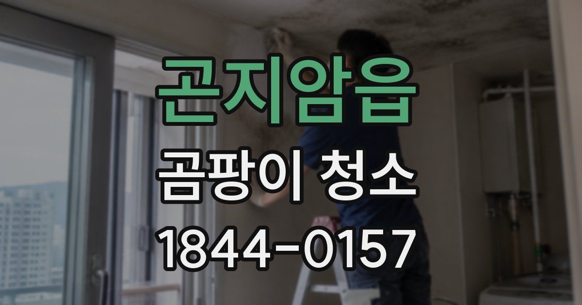 곤지암읍 곰팡이 청소