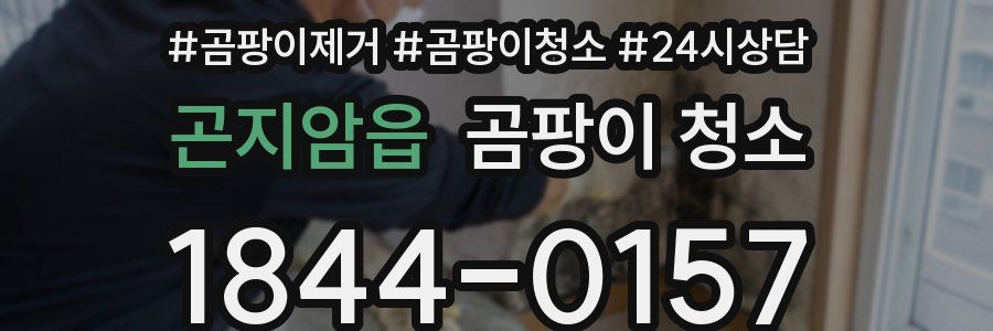 곤지암읍 곰팡이 청소