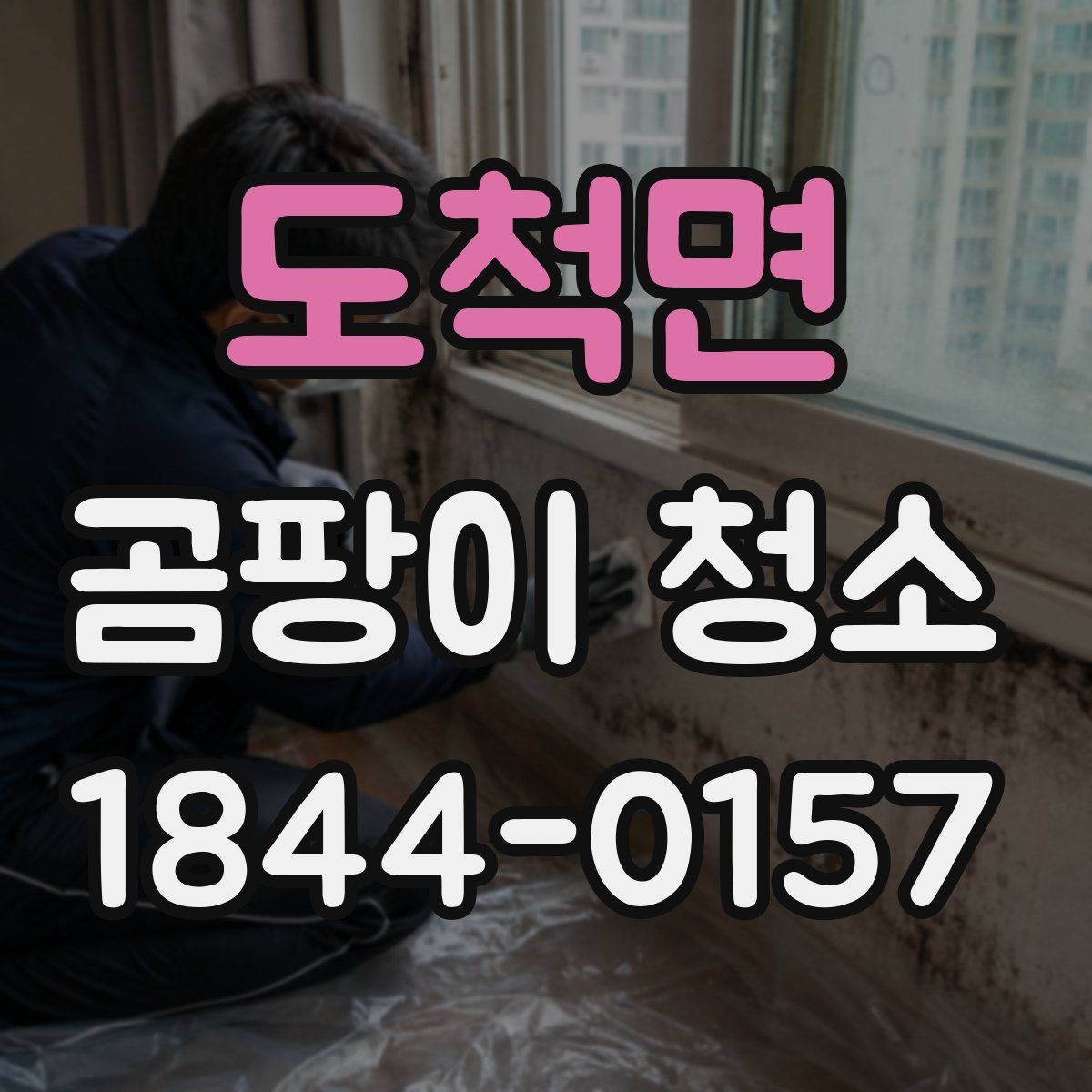 도척면 곰팡이 청소