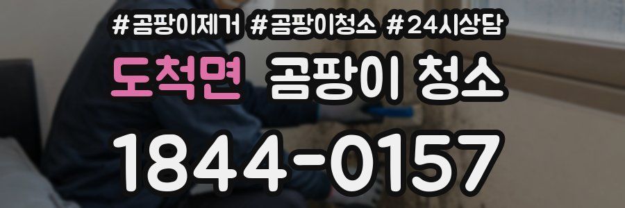 도척면 곰팡이 청소