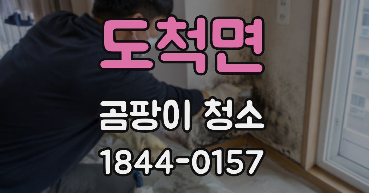 도척면 곰팡이 청소