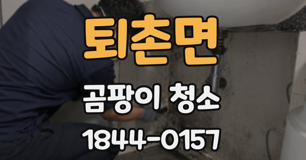 퇴촌면 곰팡이 청소