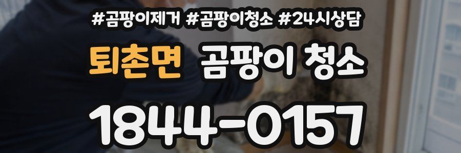퇴촌면 곰팡이 청소