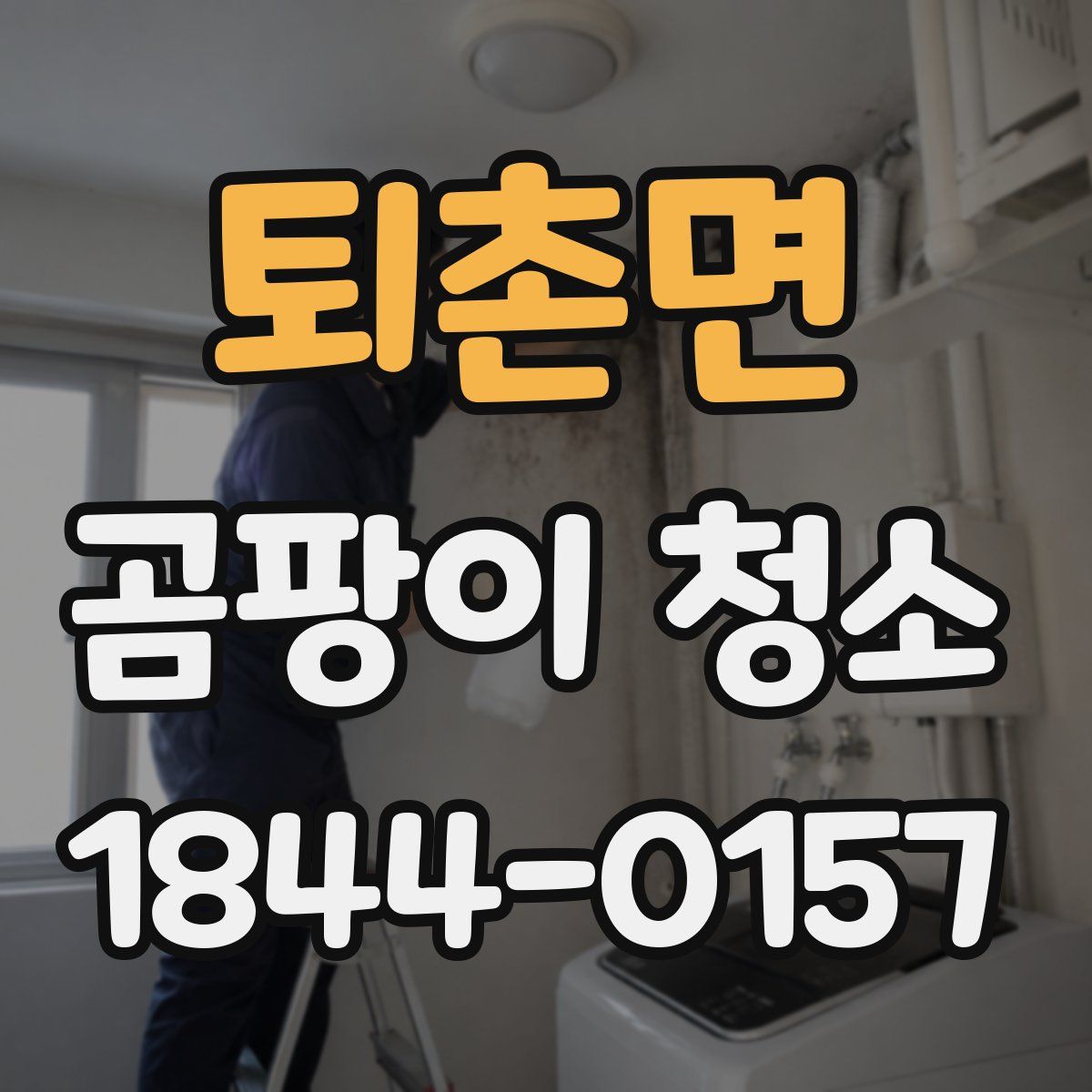 퇴촌면 곰팡이 청소