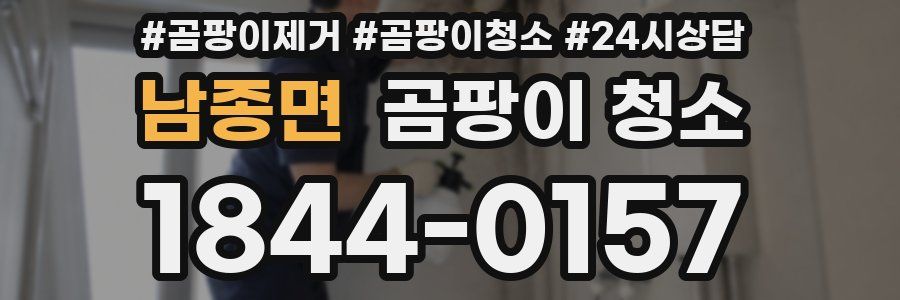 남종면 곰팡이 청소