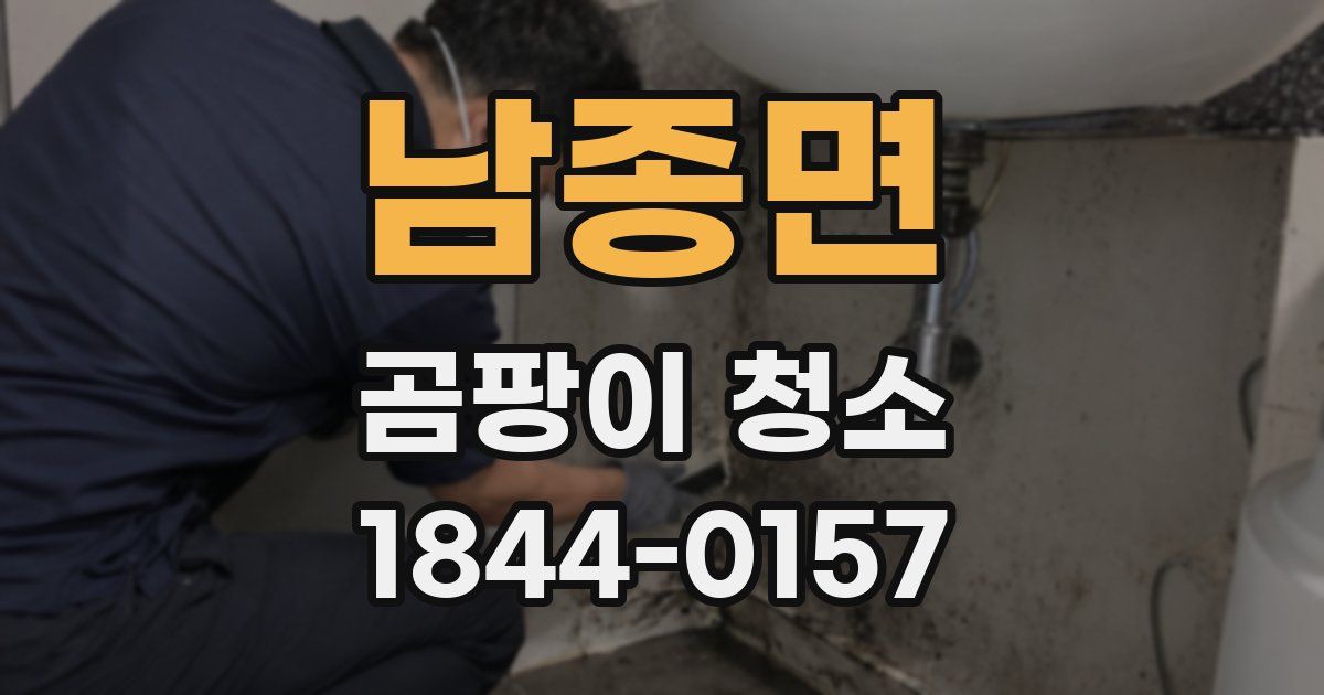 남종면 곰팡이 청소