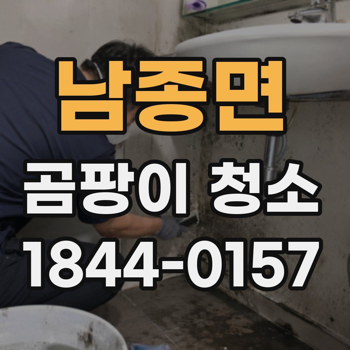 남종면 곰팡이 청소