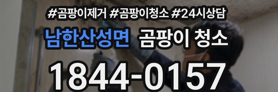 남한산성면 곰팡이 청소