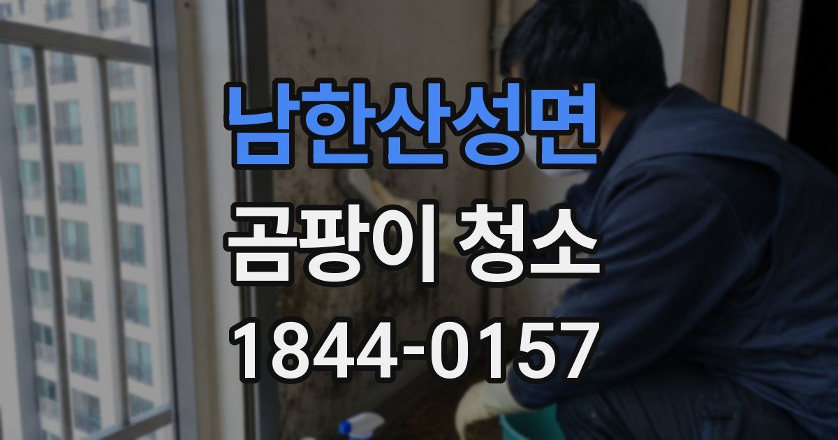 남한산성면 곰팡이 청소