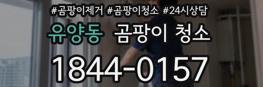 유양동 곰팡이 청소