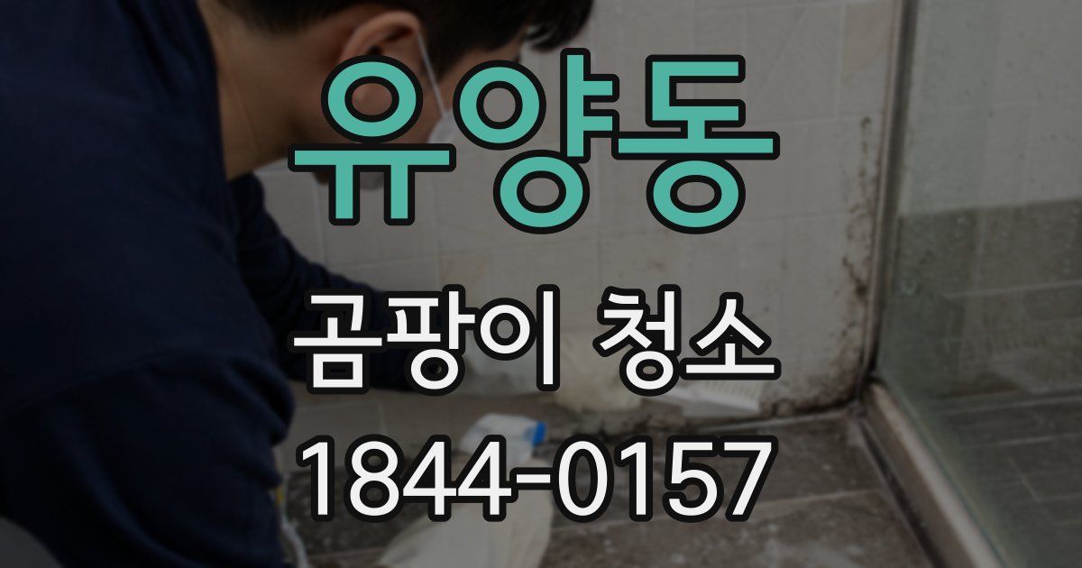 유양동 곰팡이 청소