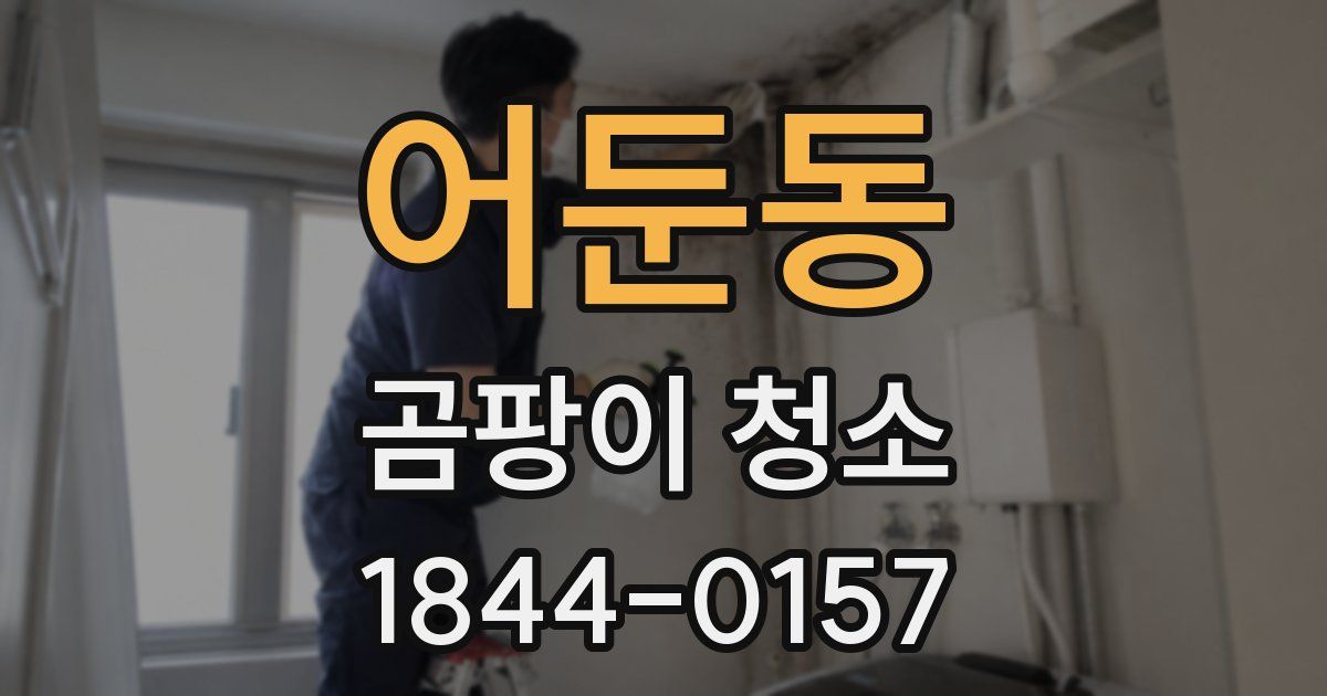 어둔동 곰팡이 청소