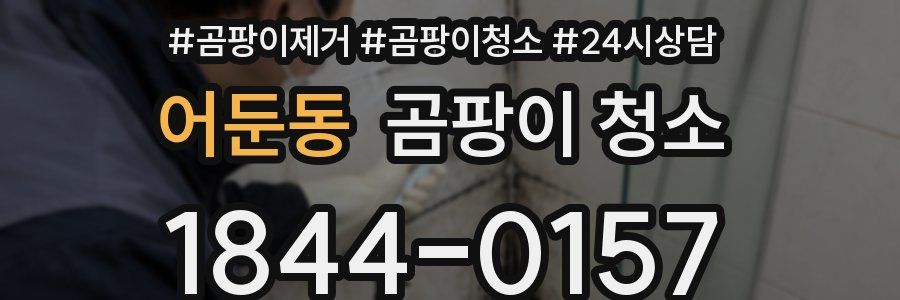 어둔동 곰팡이 청소
