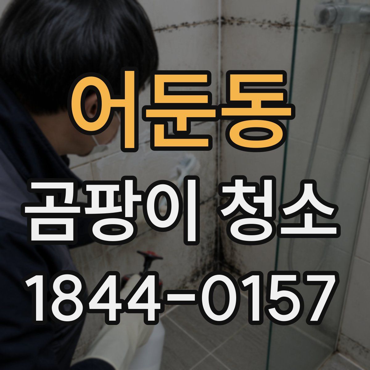 어둔동 곰팡이 청소