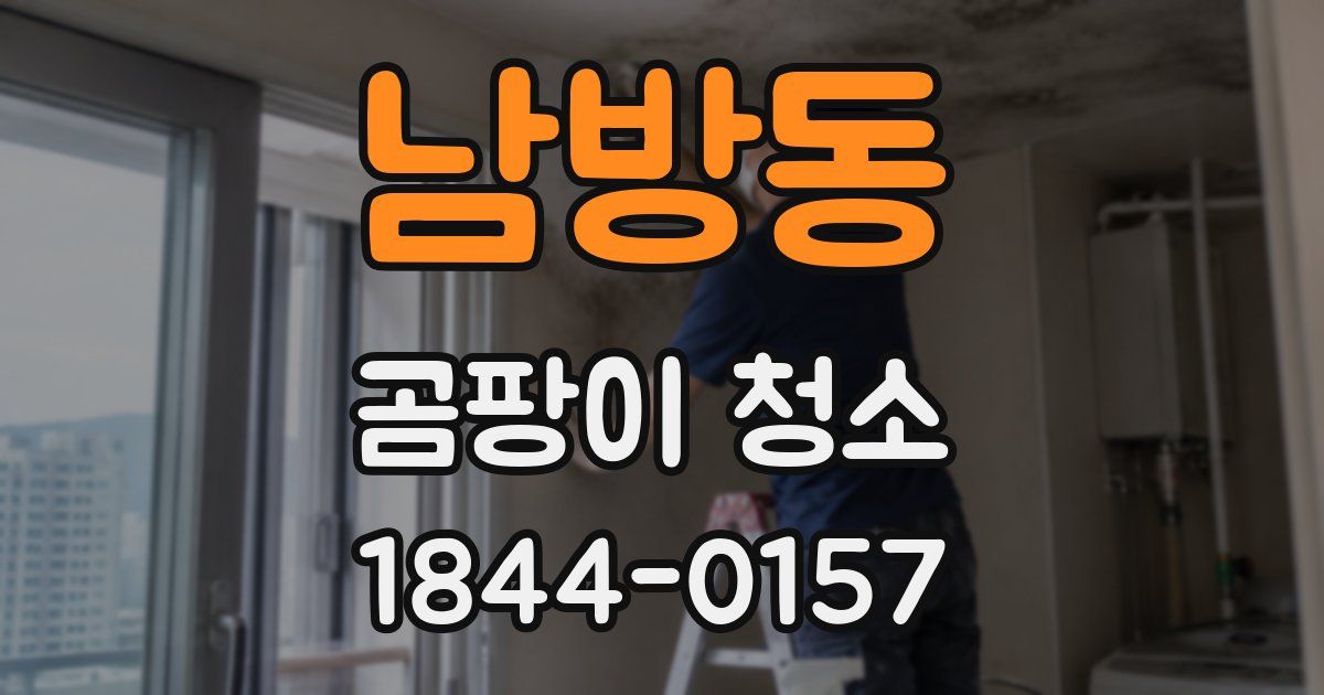 남방동 곰팡이 청소